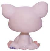 #1693 Pig